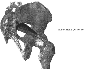 Piramidale